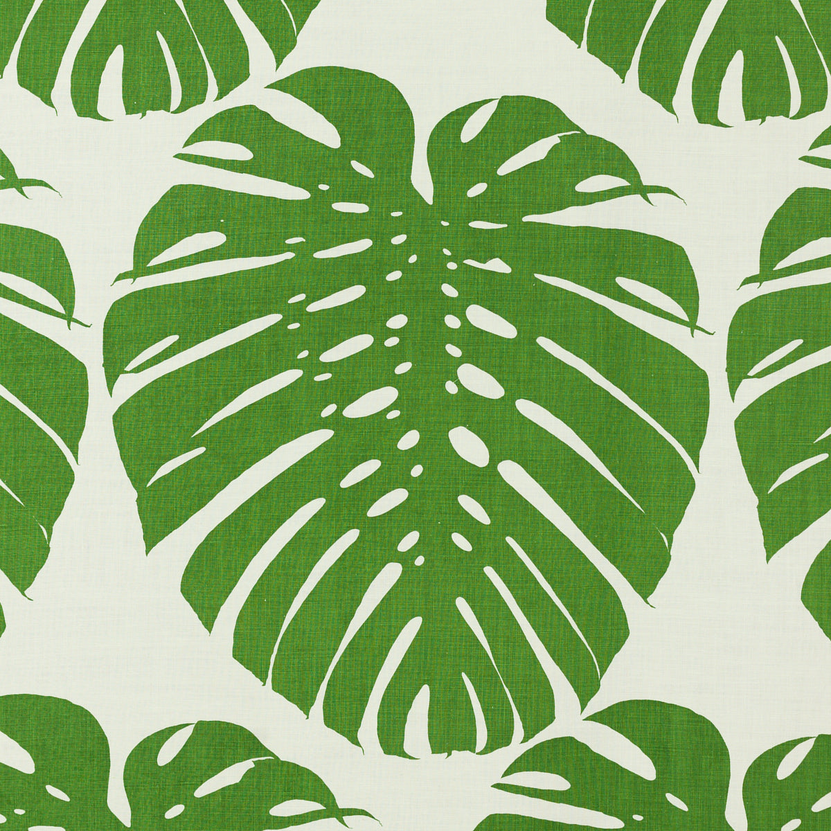 Schumacher 410V19 EXOTICUS in ELEPHANT LEAF Fabric - RAOUL T