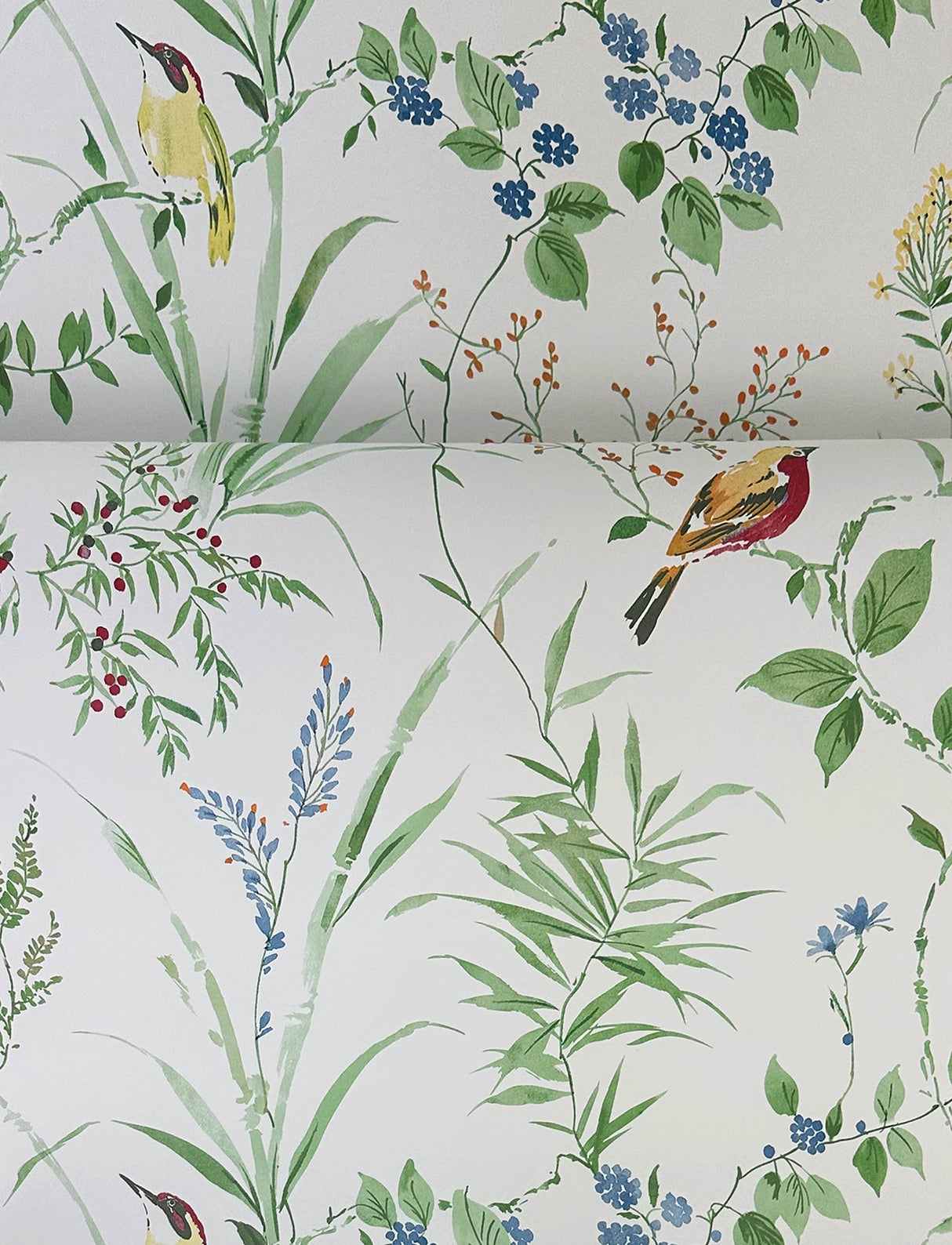 Chesapeake 4134-24173