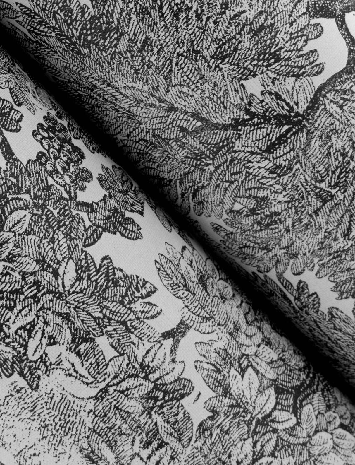 Chesapeake 4134-72558