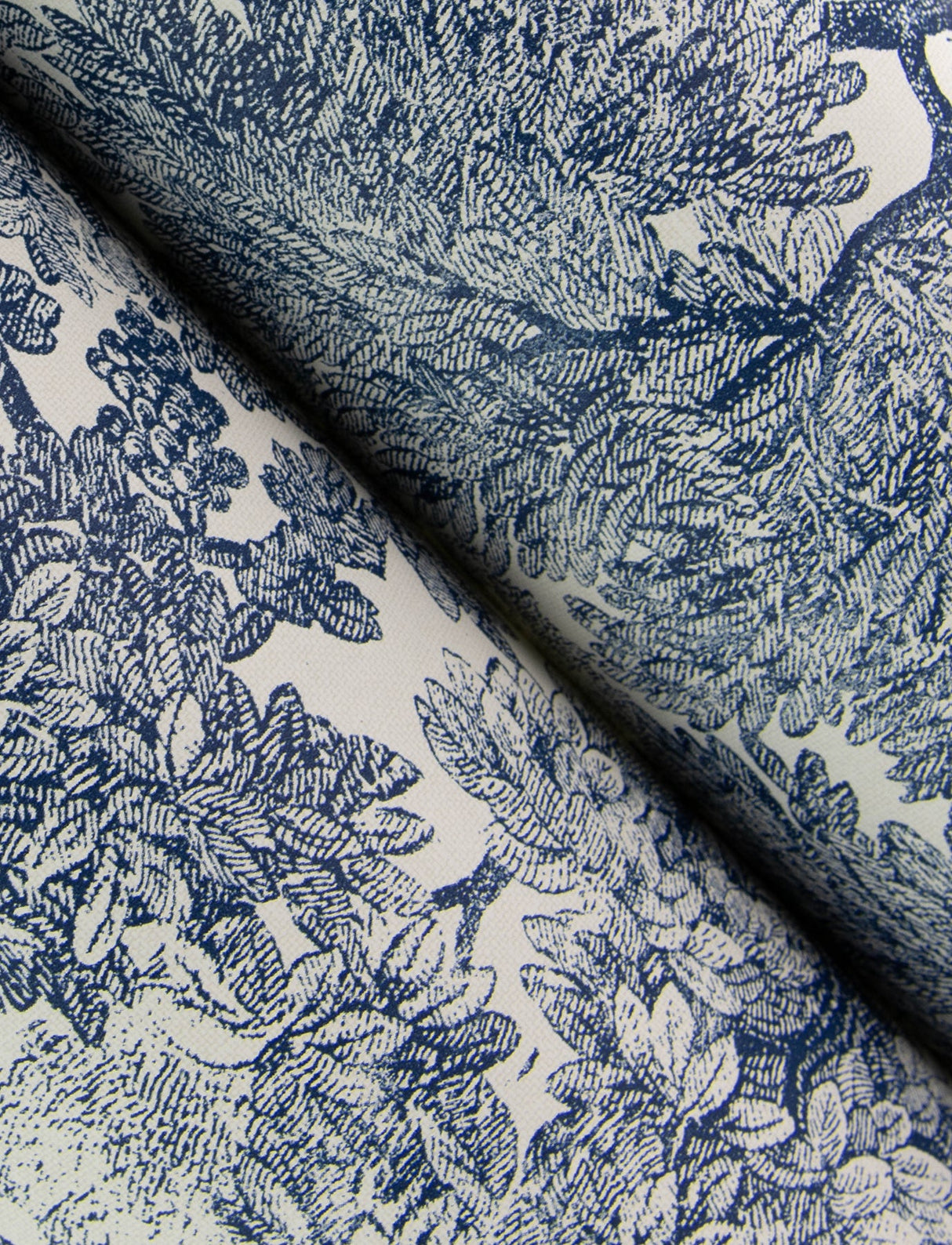 Chesapeake 4134-72559