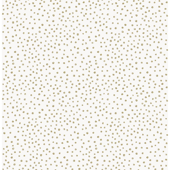 A-Street Prints 4135-27305 Cassie Black Petite Polka Wallpaper - Eade's Wallpaper