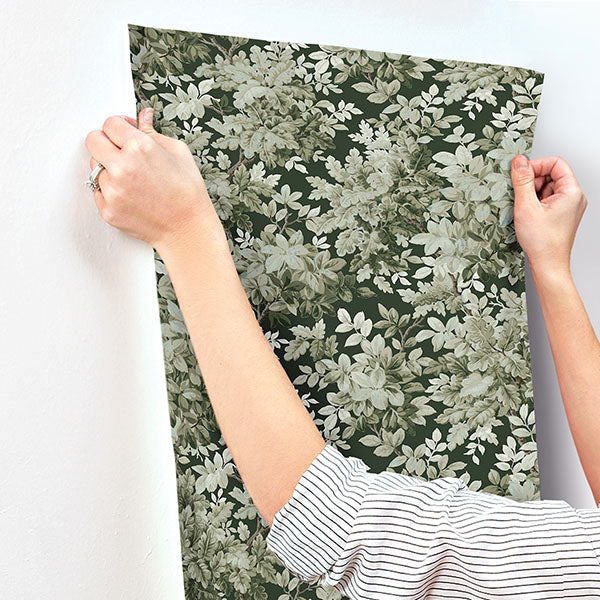 A-Street Prints 4147-80004 Greenwood Dark Green Deciduous Wallpaper - Eade's Wallpaper