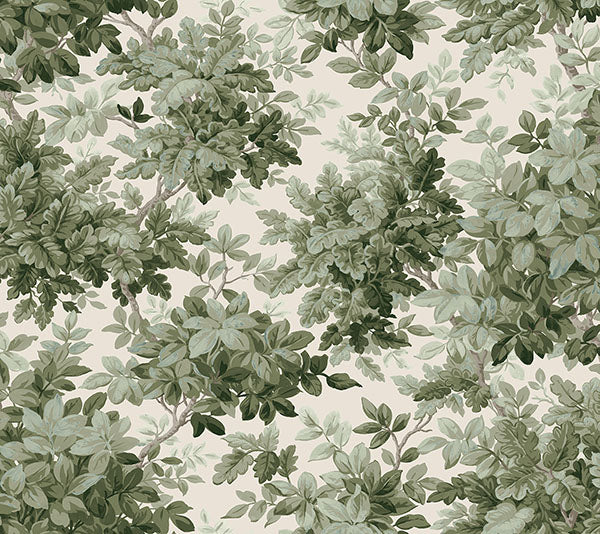 A-Street Prints 4147-80006 Greenwood Moss Deciduous Wallpaper - Eade's Wallpaper