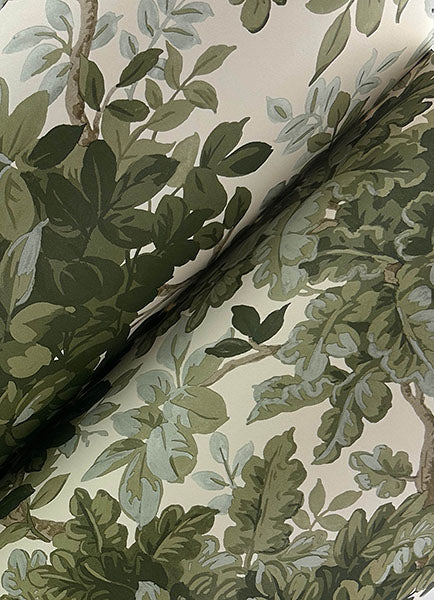 A-Street Prints 4147-80006 Greenwood Moss Deciduous Wallpaper - Eade's Wallpaper
