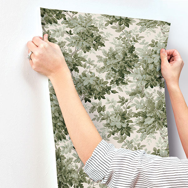 A-Street Prints 4147-80006 Greenwood Moss Deciduous Wallpaper - Eade's Wallpaper