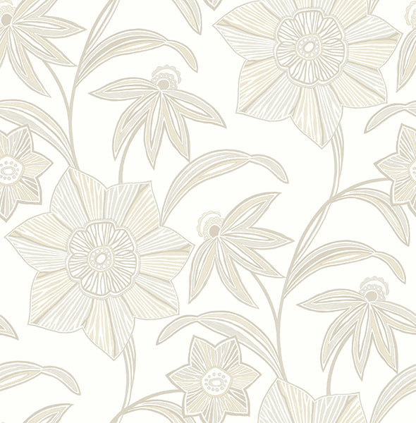 Eade’s Star Flower Beige