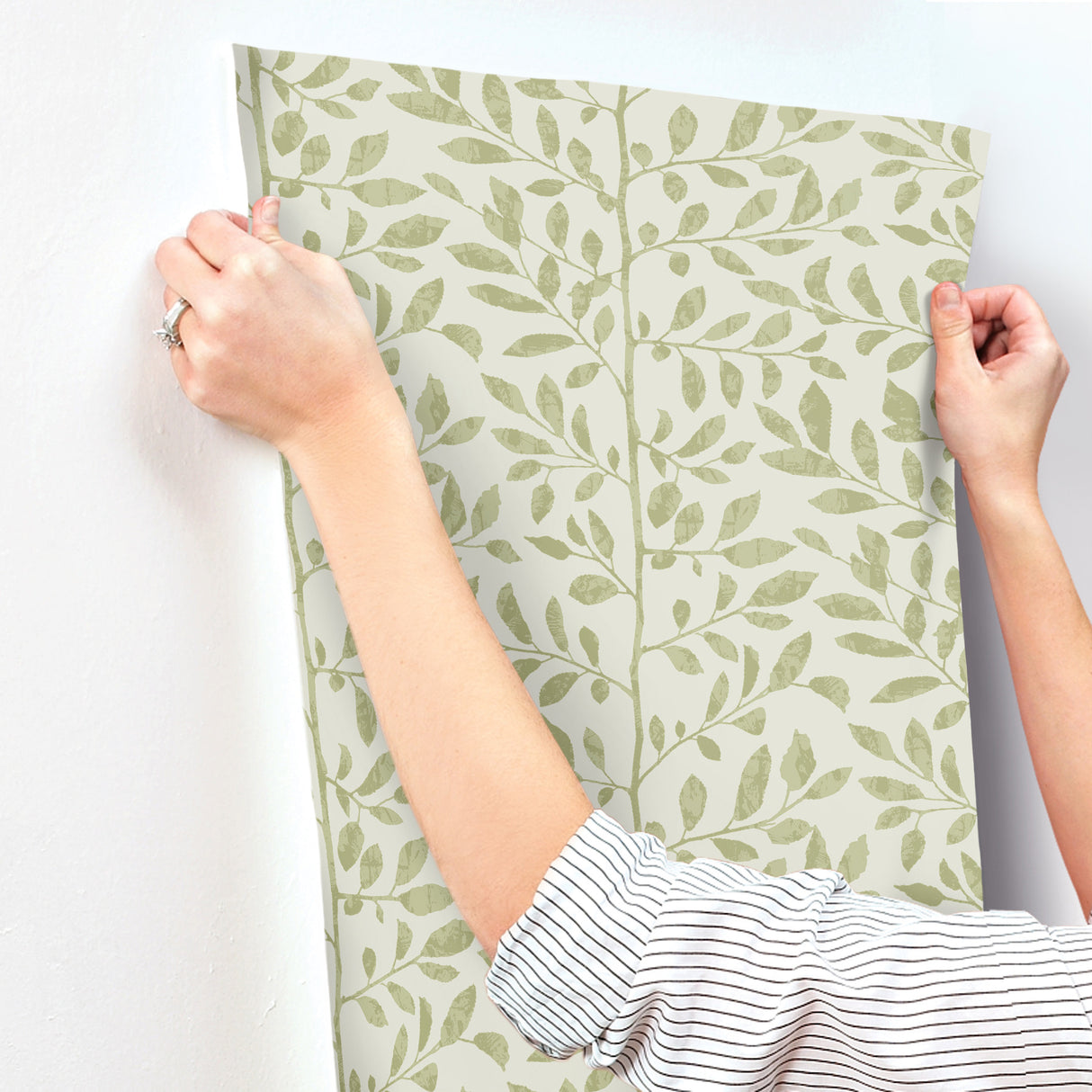 A-Street Prints 4177-83305 Sagecrest Sage Sapling Wallpaper