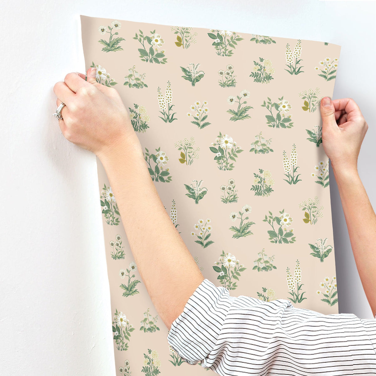 Rifle Paper Co. 4212-84372 Botanical Blush Wallpaper