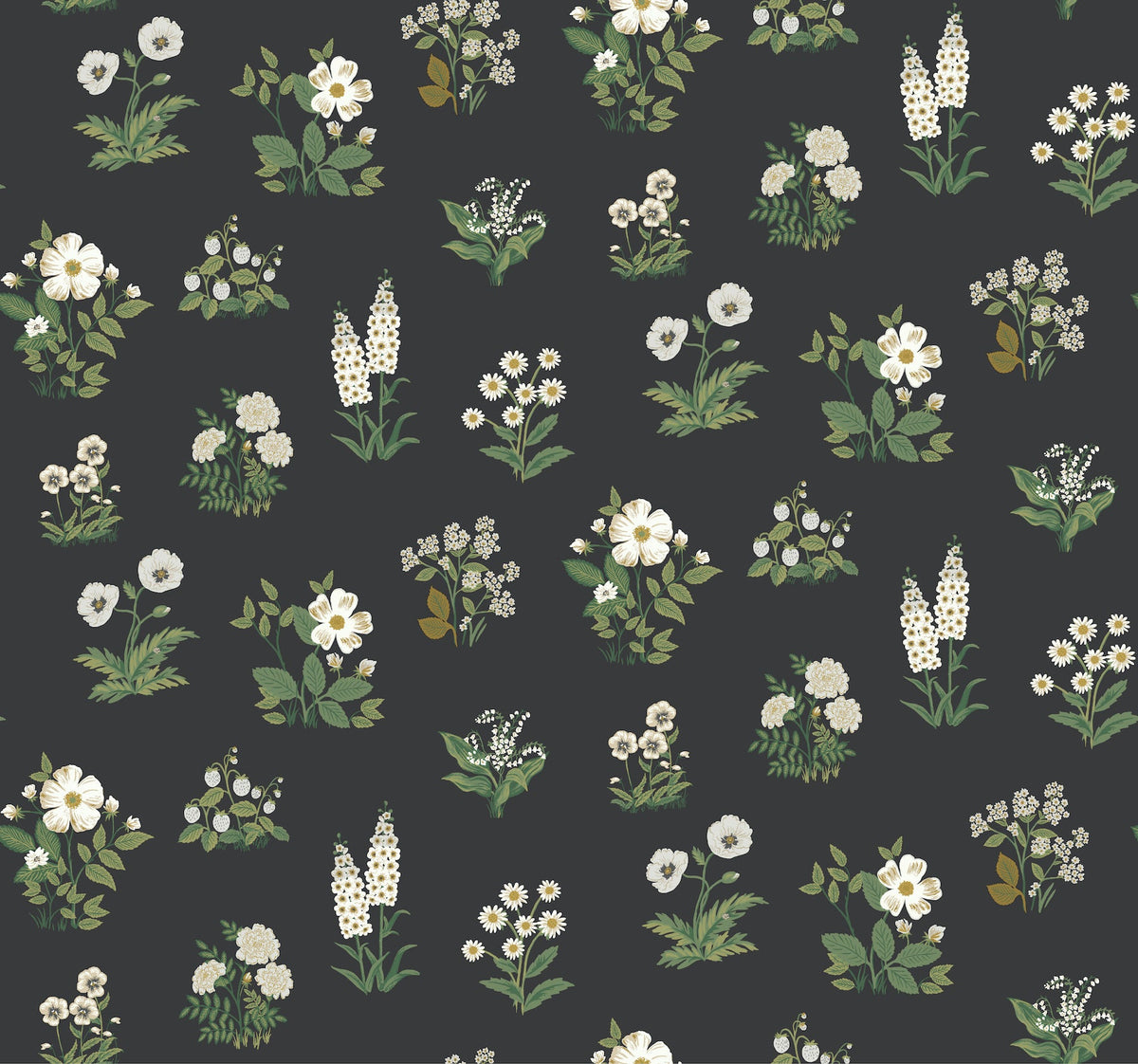 Rifle Paper Co. 4212-84375 Botanical Black Wallpaper