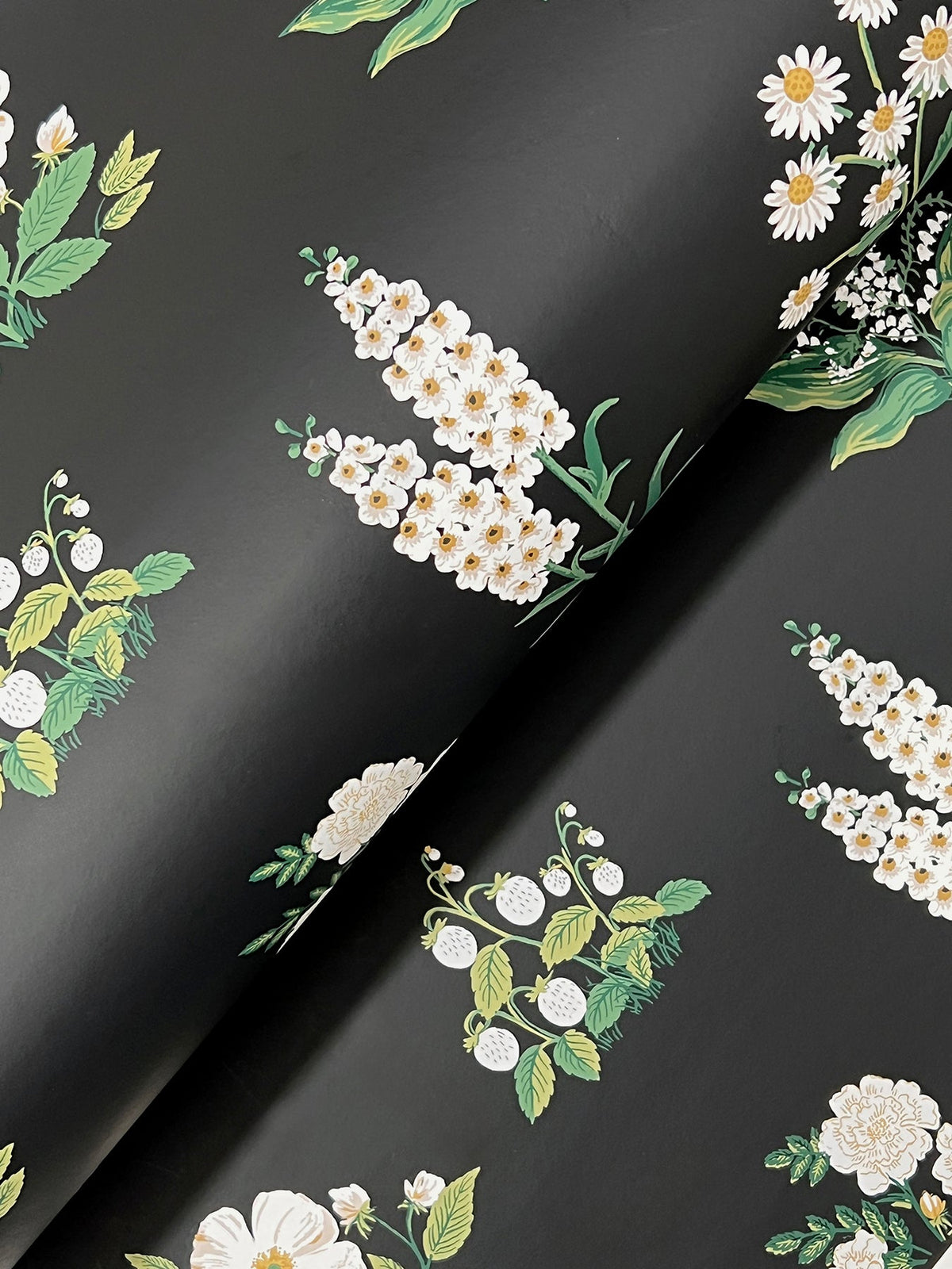 Rifle Paper Co. 4212-84375 Botanical Black Wallpaper
