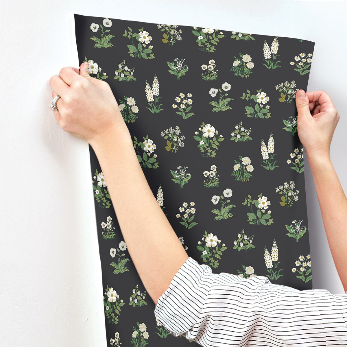 Rifle Paper Co. 4212-84375 Botanical Black Wallpaper