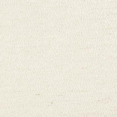 KRAVET COUTURE 4229.1.0 CELSIAN FROST Fabric