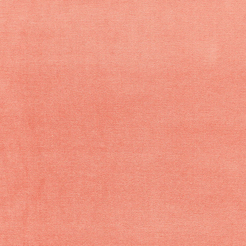 Eade’s SEA CORAL