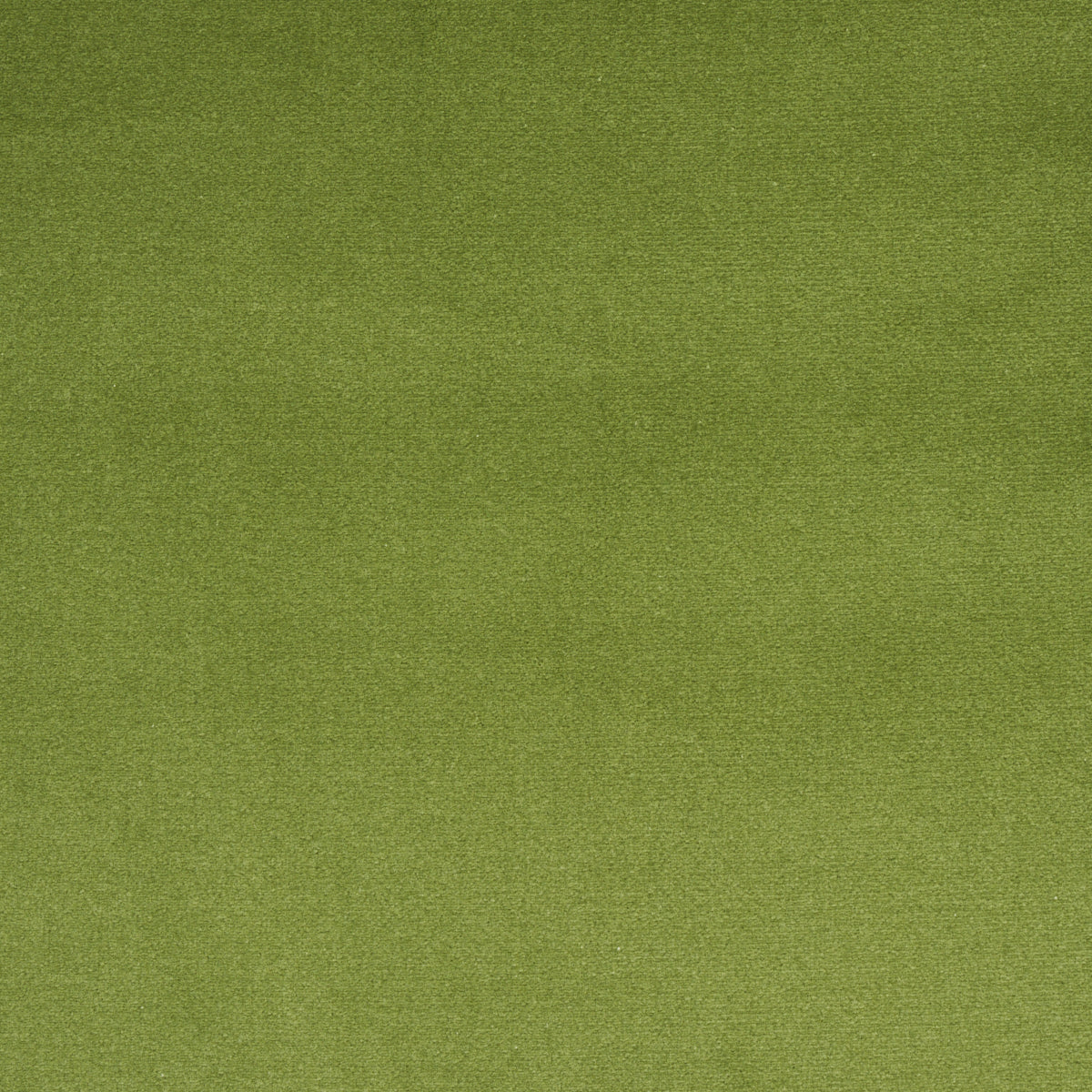 Schumacher 43424 COTTON CLUB VELVET in SAGE Fabric - PERFECT
