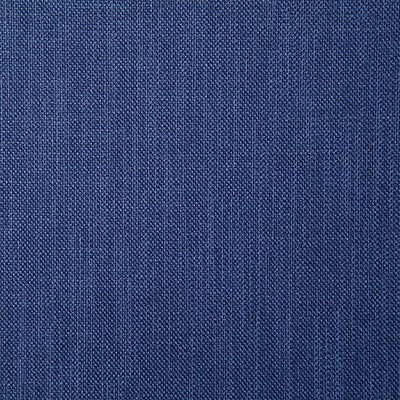 Pindler ROSARIO BLUEBERRY 4357 Fabric - Fabric Collection
