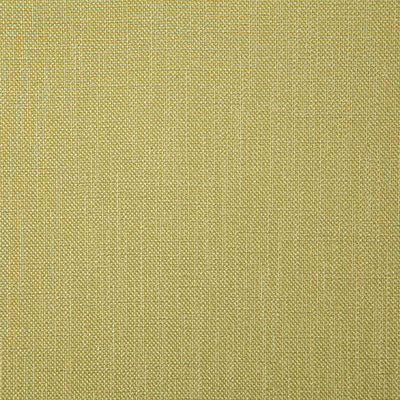 Pindler ROSARIO CITRUS 4357 Fabric - Fabric Collection