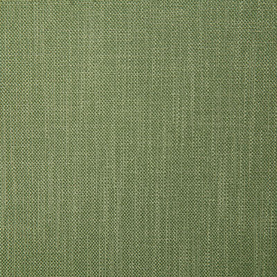 Pindler ROSARIO GREEN 4357 Fabric - Fabric Collection