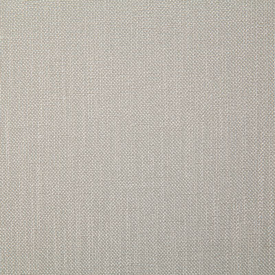 Pindler ROSARIO MICA 4357 Fabric - Fabric Collection