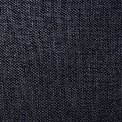 Pindler ROSARIO MIDNIGHT 4357 Fabric - Fabric Collection