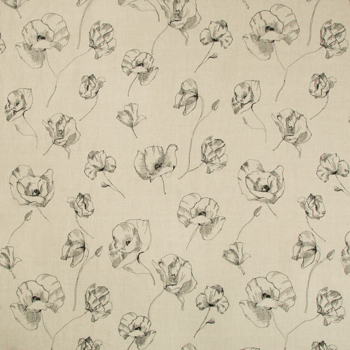 KRAVET COUTURE 4445.16.0 FIELD NOTES NATURAL/NOIR Fabric