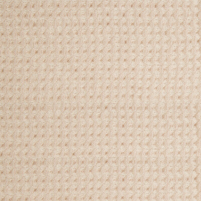KRAVET COUTURE 4457.17.0 SCULPTURAL BLUSH Fabric