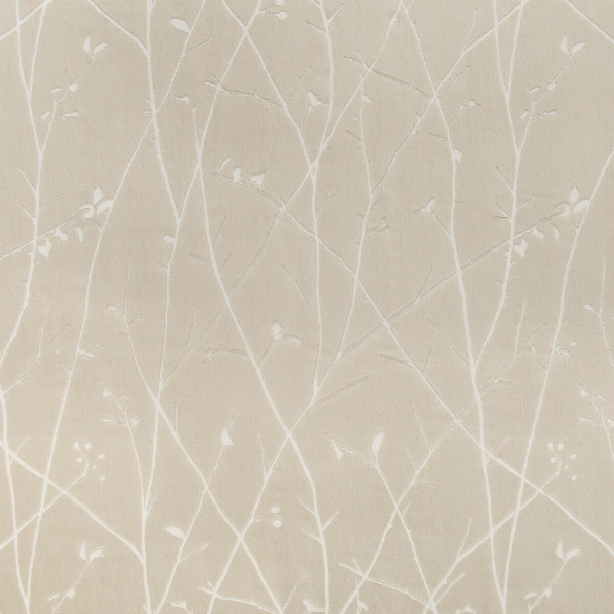 KRAVET COUTURE 4463.16.0 RAMUS QUARTZ Fabric