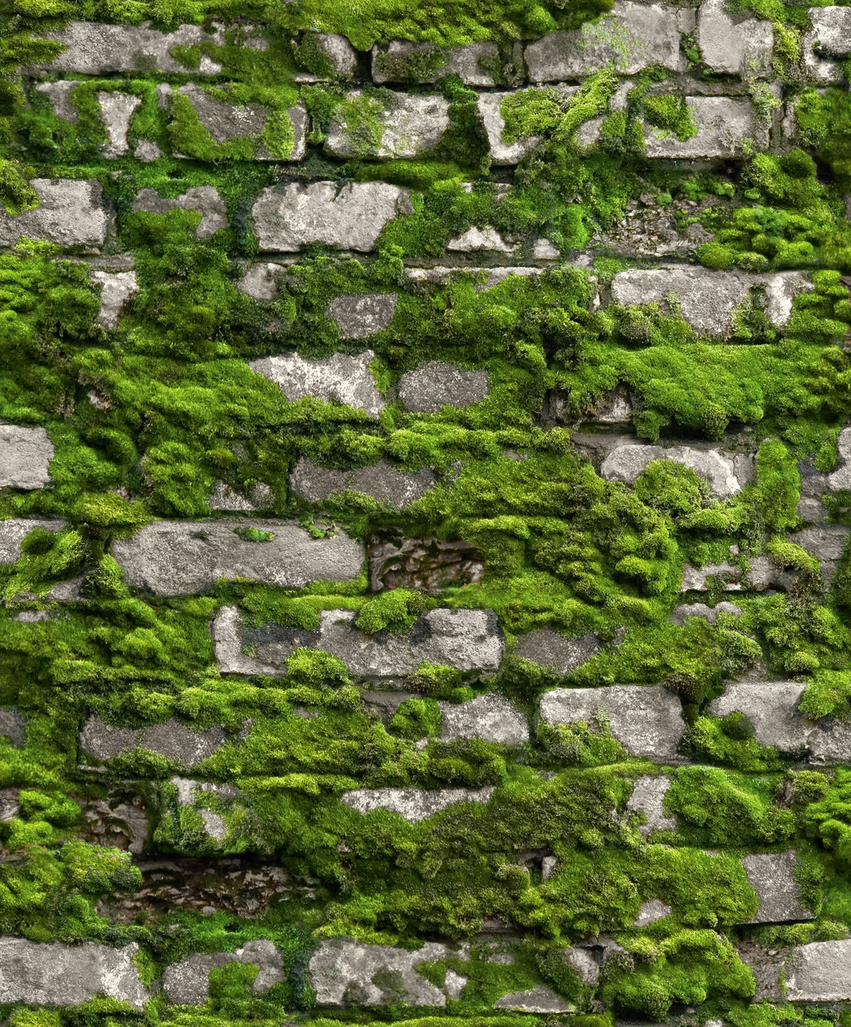 Eade's 45755-sample Beige