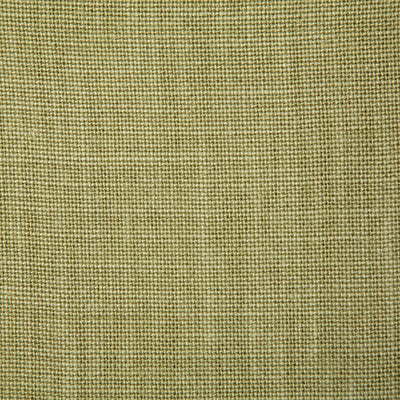 Pindler FABIENNE LIME 4580 Fabric - Fabric Collection
