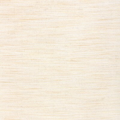 KRAVET BASICS KRAVET BASICS 4671.111.0 in 4671-111 Fabric -