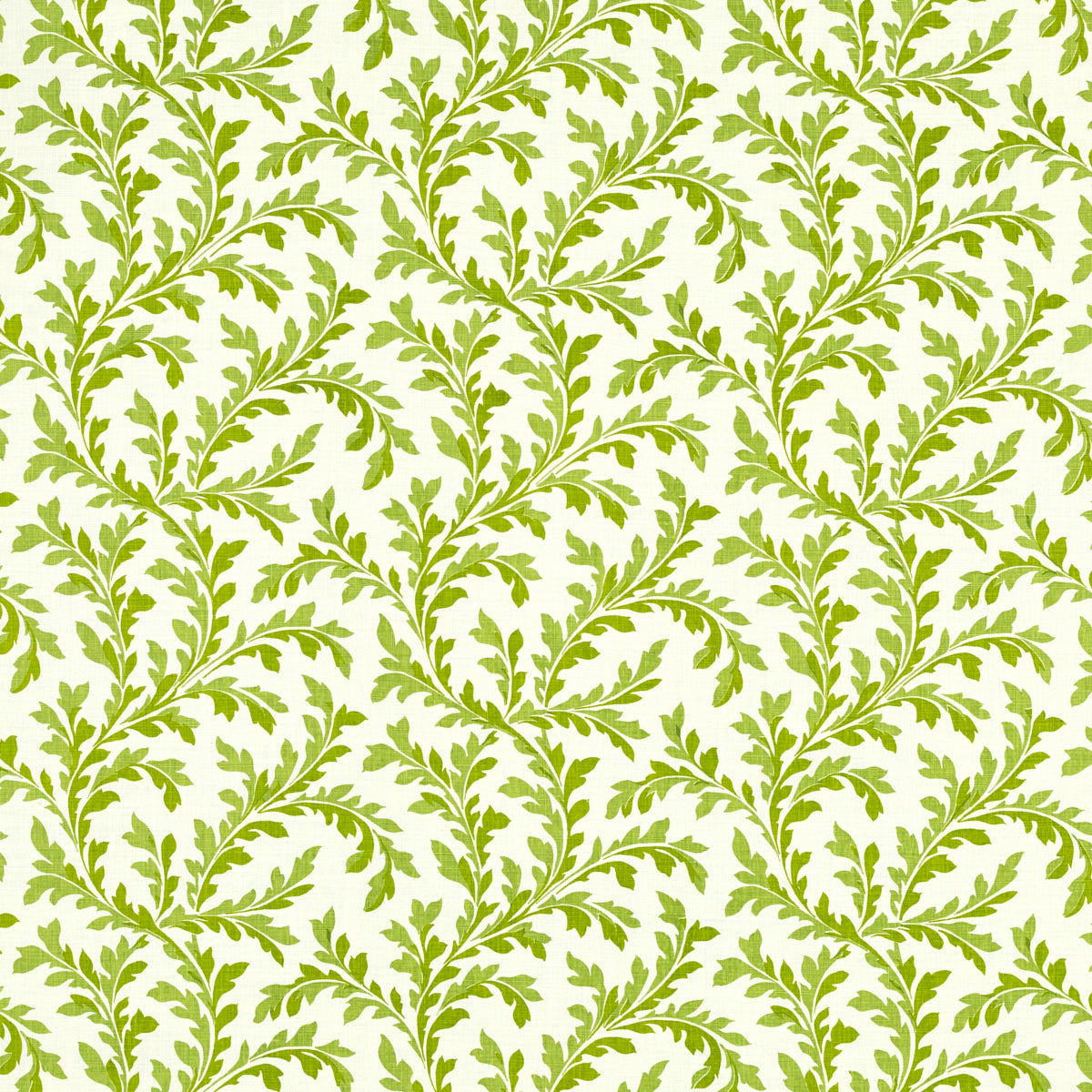 Schumacher 472V60 VERA in LAWN Fabric - RAOUL TEXTILES