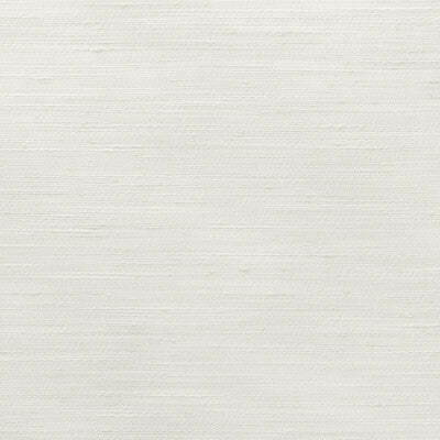 KRAVET BASICS 4852.101.0 KRAVET BASICS 4852-101 Fabric - Eade's Wallpaper