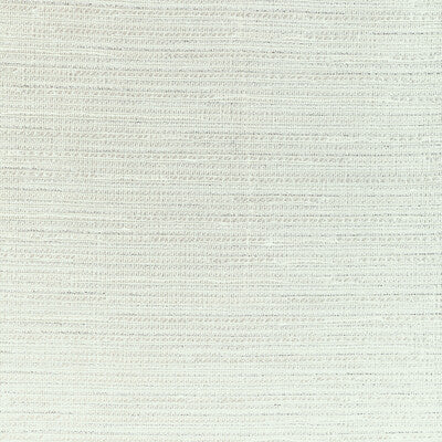 KRAVET COUTURE 4888.1.0 SHIMMER WAY PLATINUM Fabric - Eade's Wallpaper