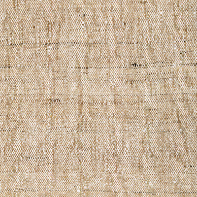 KRAVET COUTURE 4898.16.0 LIGHT TOUCH CARAMEL Fabric - Eade's Wallpaper