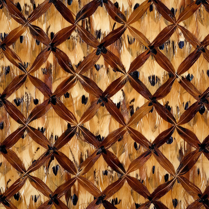 Eade’s TIGER'S EYE