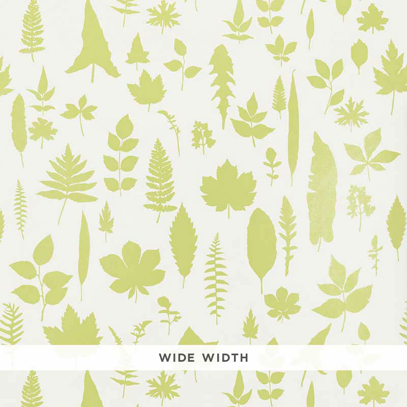 Schumacher Leaves Chartreuse Wallpaper - Eade's Wallpaper