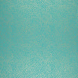 Eade’s TURQUOISE