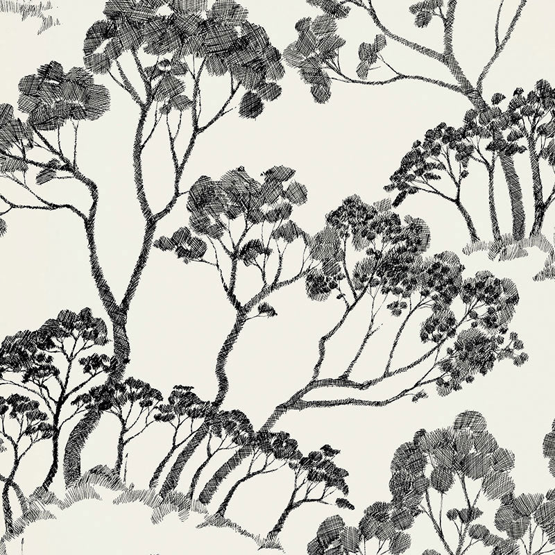 Eade’s BLACK & WHITE