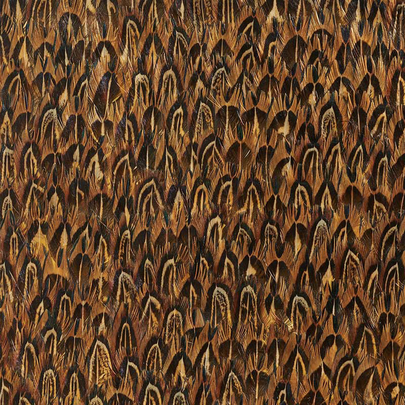 Schumacher 5008376 GOLD in QUAIL Wallpaper - PLUME