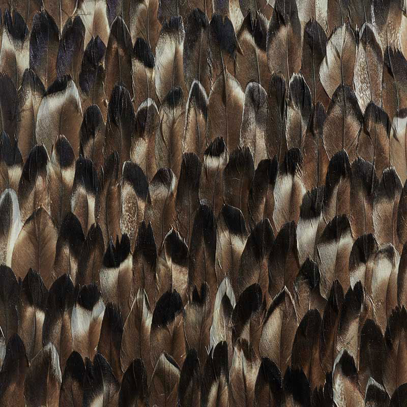 Schumacher 5008382 PYRITE in BLACK SMOKE Wallpaper - PLUME