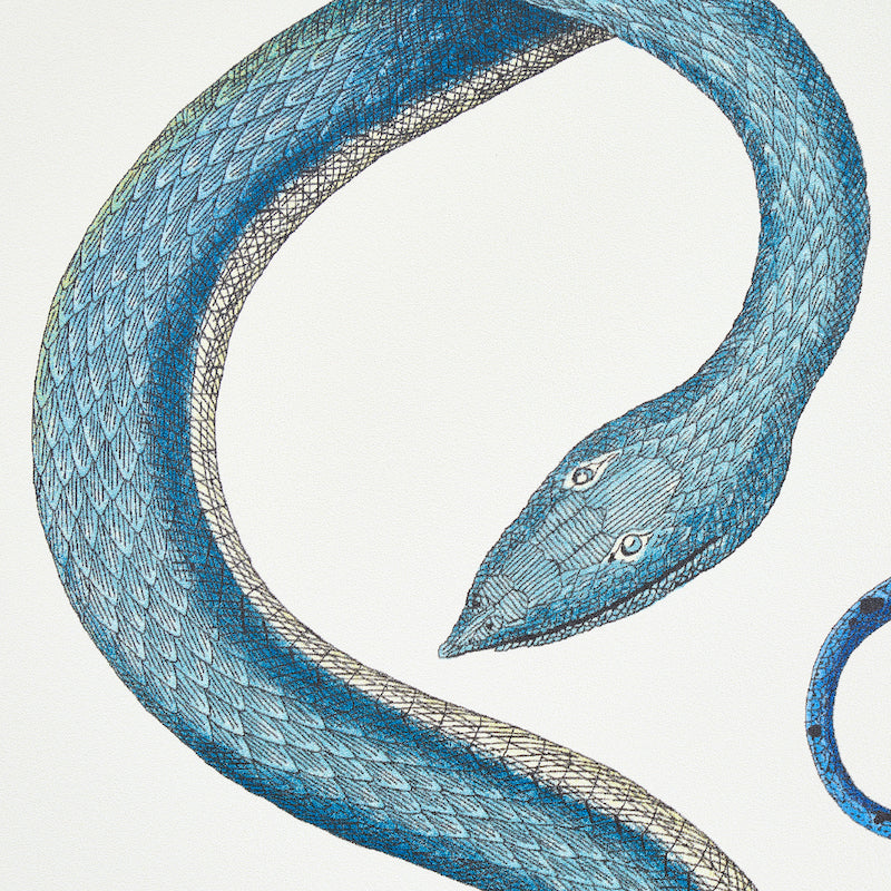 Eade’s EMERALD & SAPPHIRE