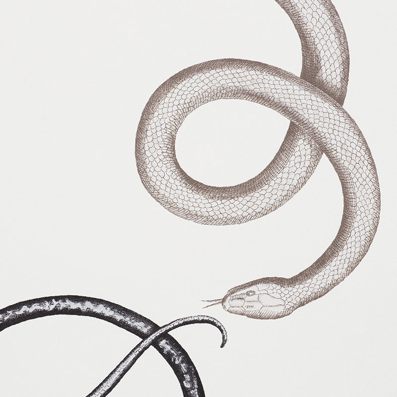 Eade’s AGATE & ONYX