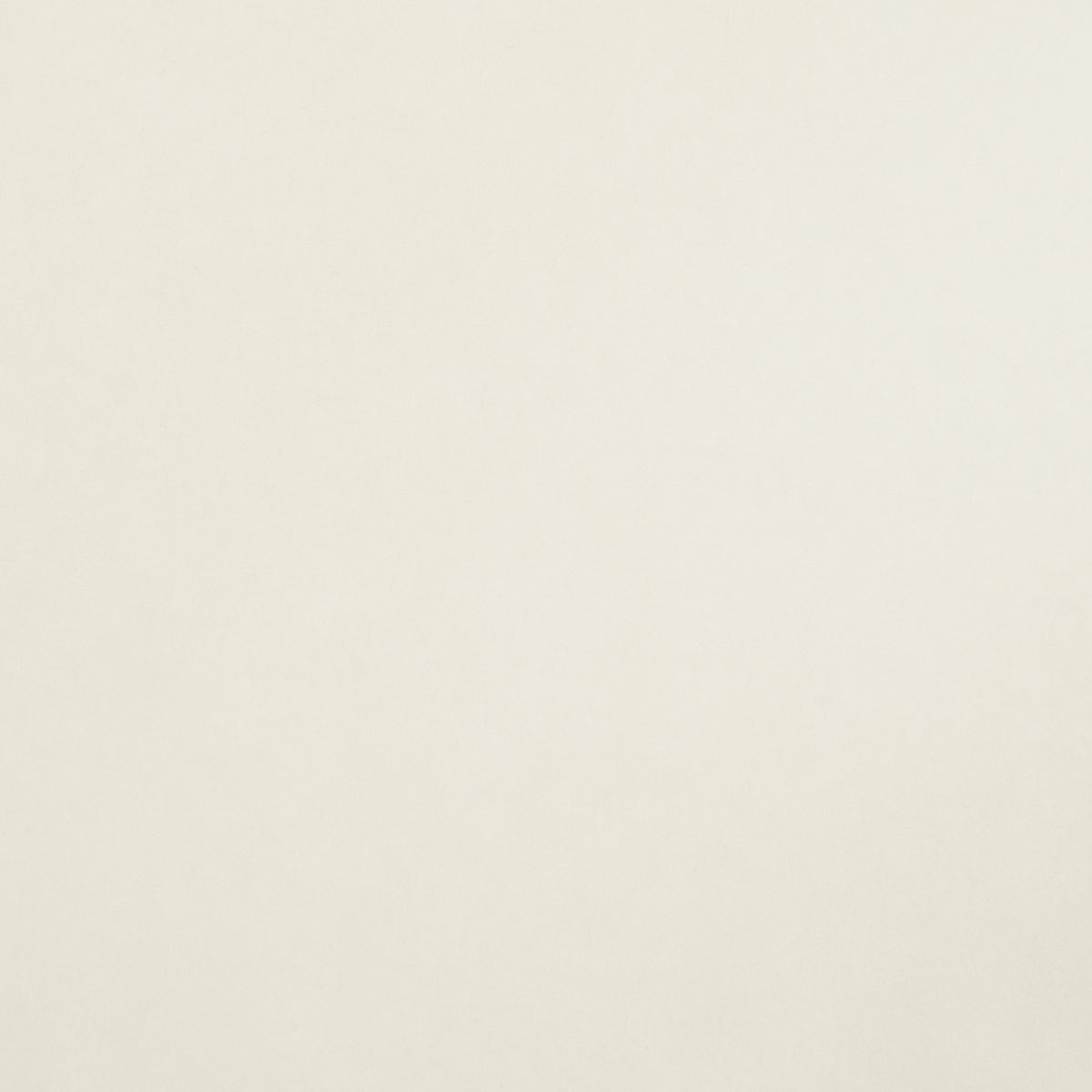 Eade’s WHITE & IVORY