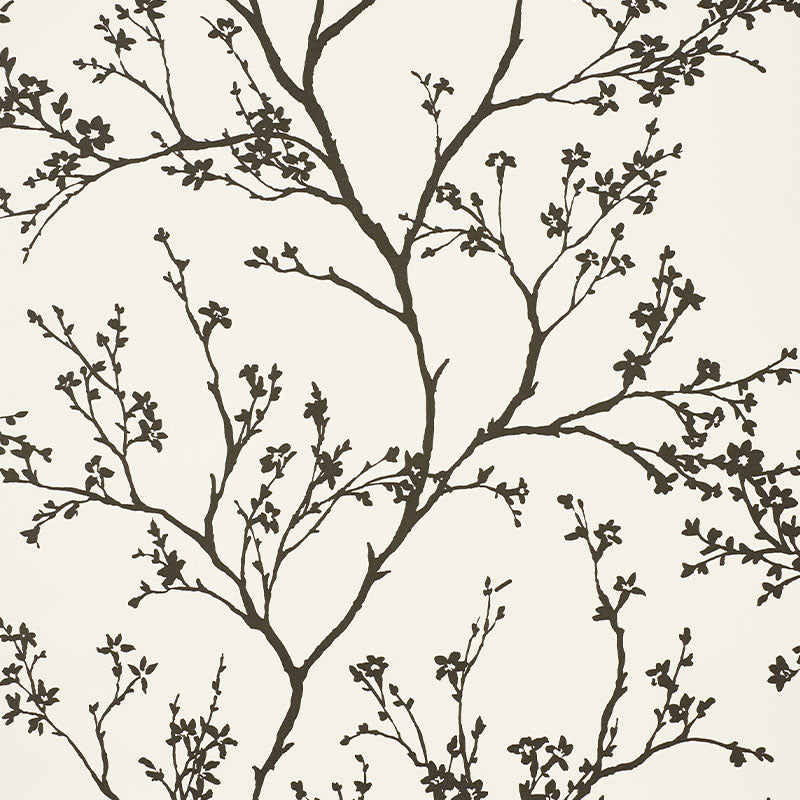 Eade’s BLACK ON IVORY