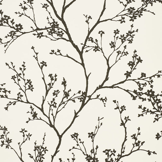 Eade’s BLACK ON IVORY