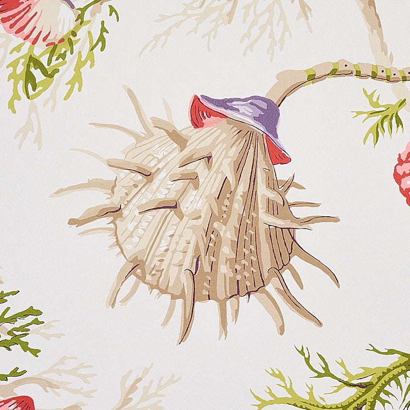 Eade’s PURPLE & CORAL