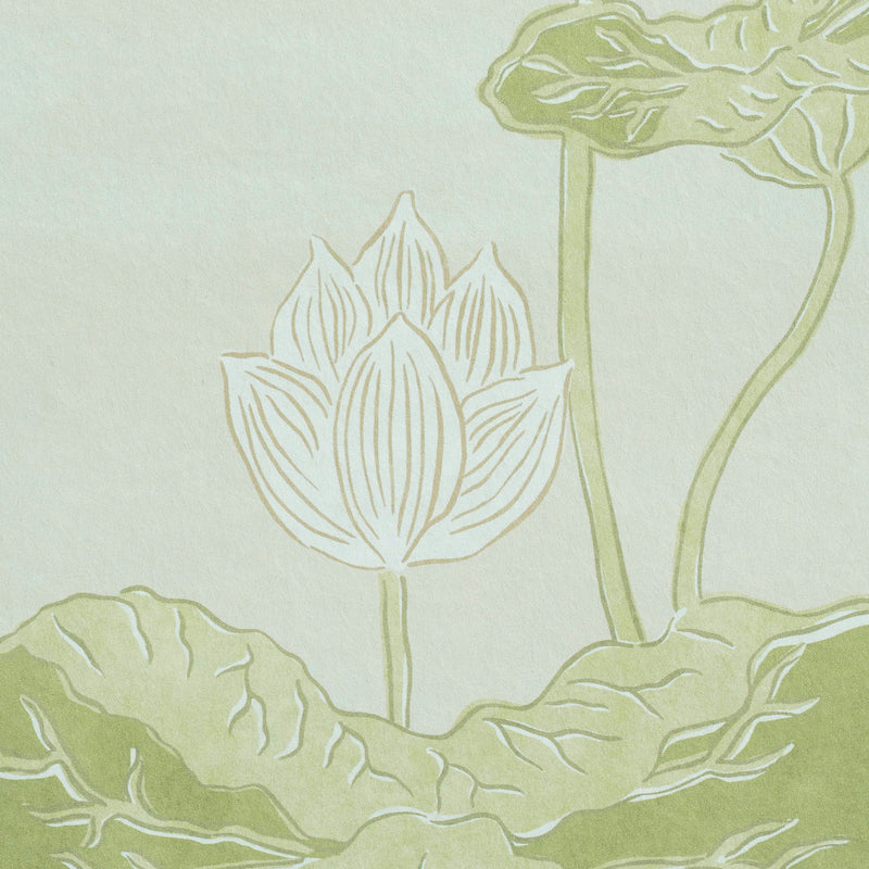 Eade’s WHITE IVORY