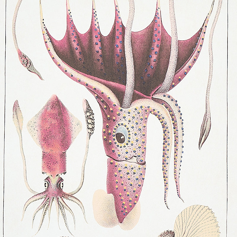 Eade’s DOCUMENT MULTI