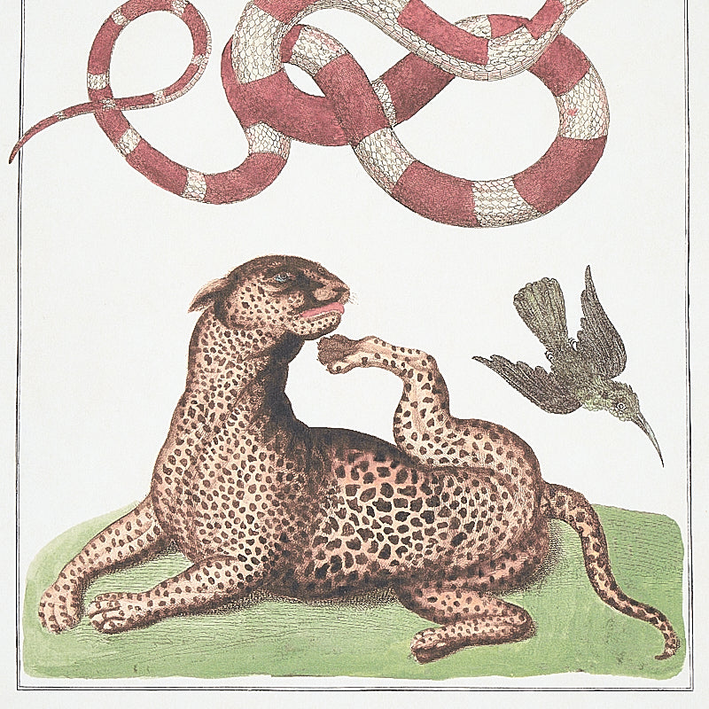 Eade’s DOCUMENT MULTI