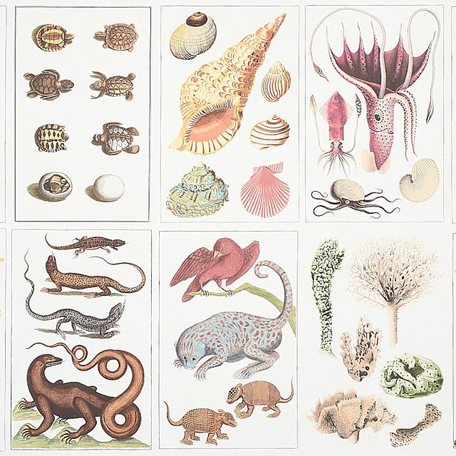 Eade’s DOCUMENT MULTI