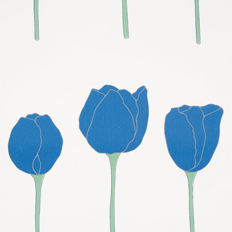 Eade’s BLUE PARROT